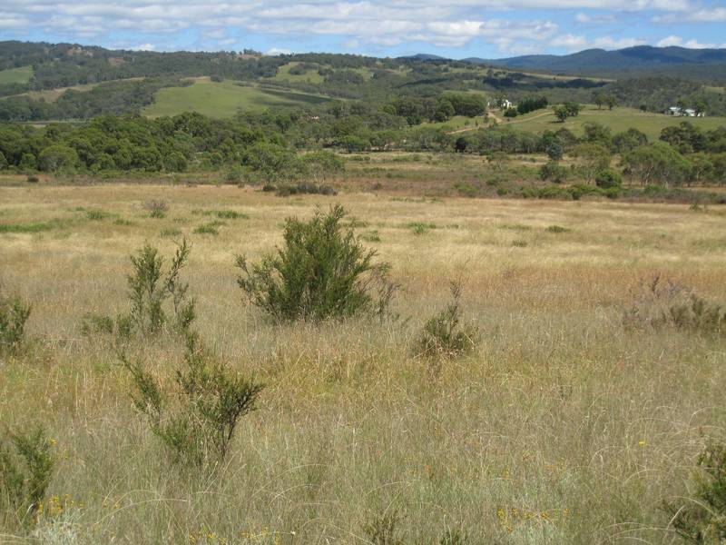 Rural Acres Picture 2