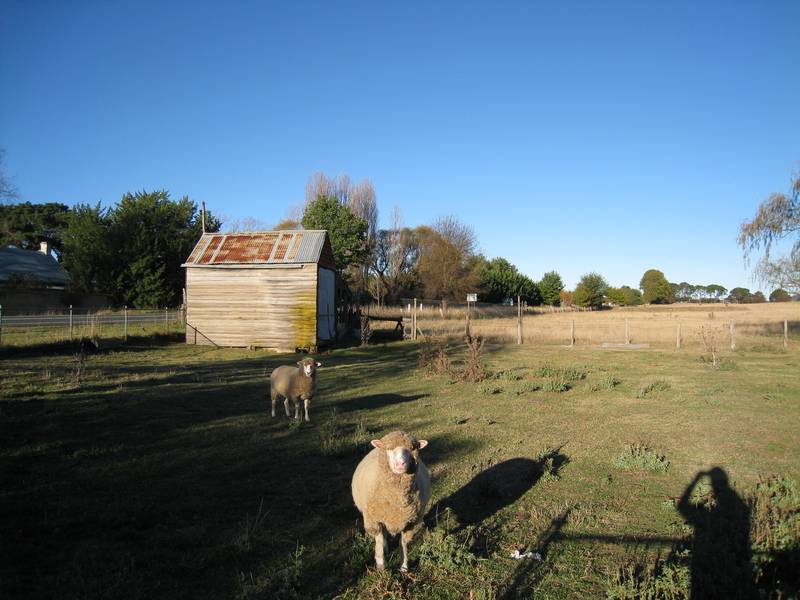 Miner's Cottage Picture 3