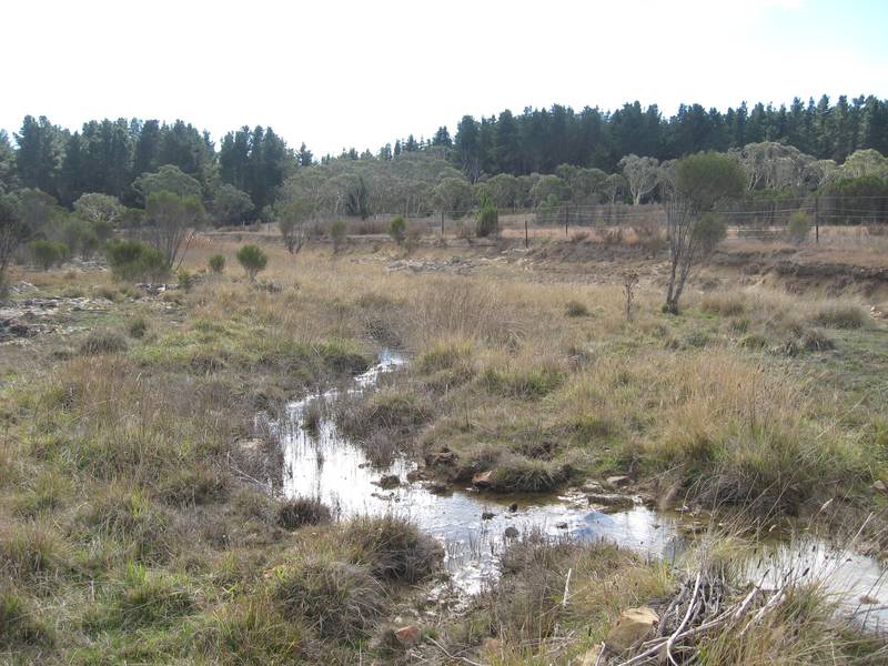 'GILLAMATONG VIEWS' Picture 3