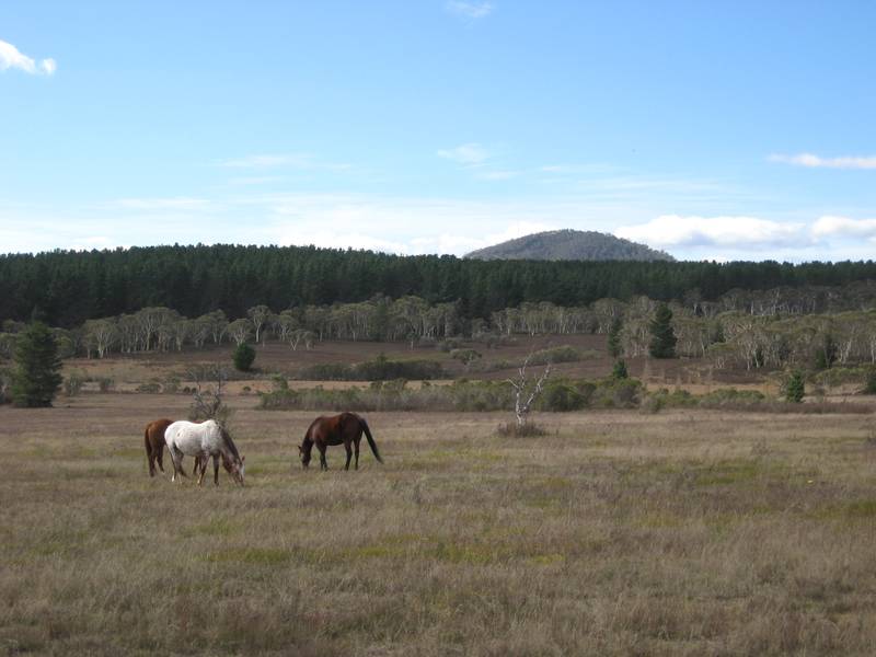 'GILLAMATONG VIEWS' Picture 1