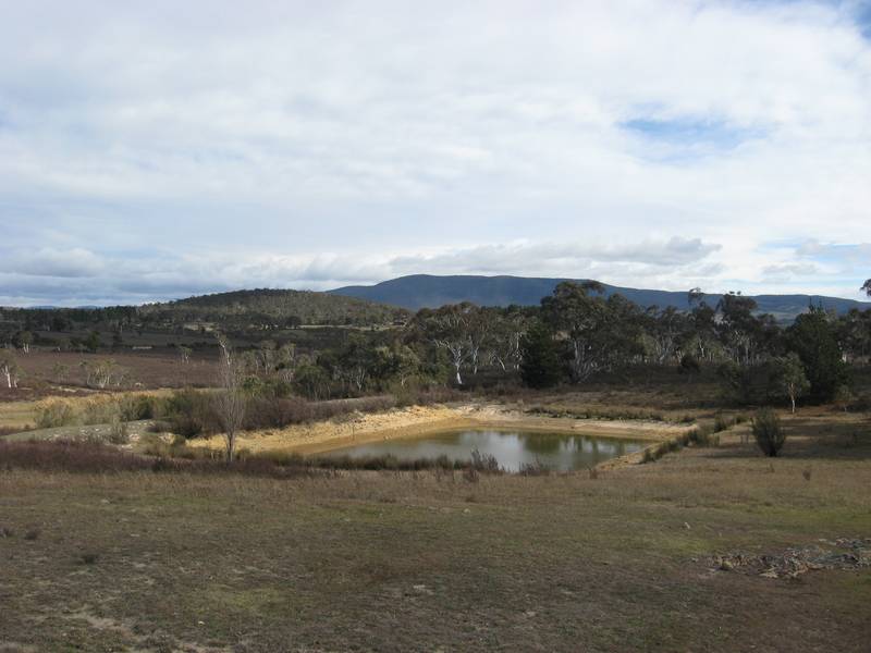 'GILLAMATONG VIEWS' Picture 2