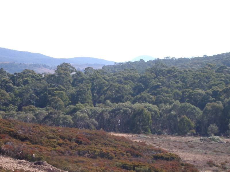 Wyanbene Ridge Picture 3