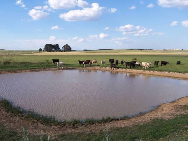 Grazing Acreage Picture 2