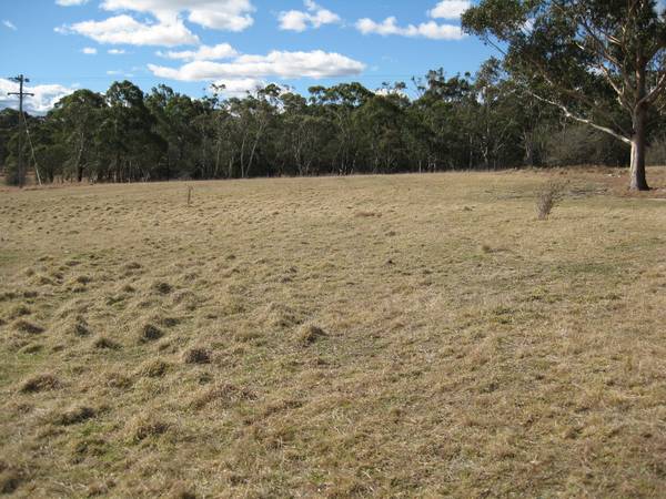 Rural Lifestyle with Village Amenities Picture 2