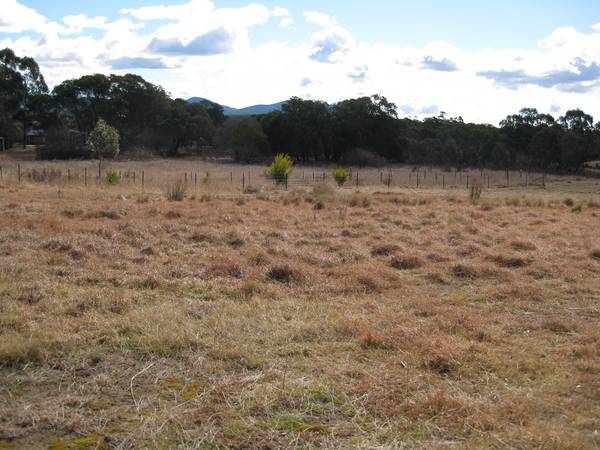 Rural Lifestyle with Village Amenities Picture 3