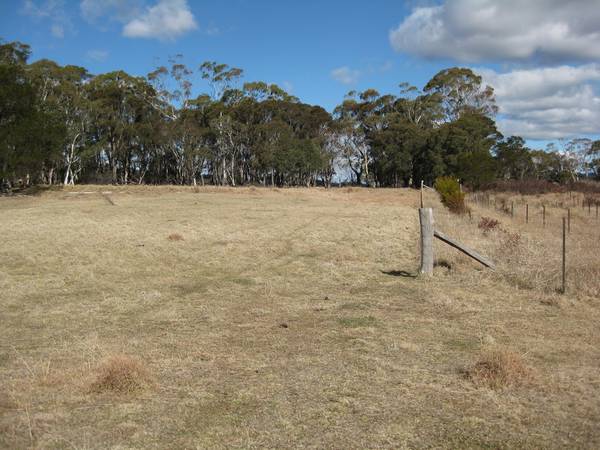 Rural Lifestyle with Village Amenities Picture 1