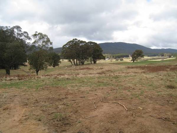 Rainbow Valley - 40.47 ha (100 Acres) Picture 1