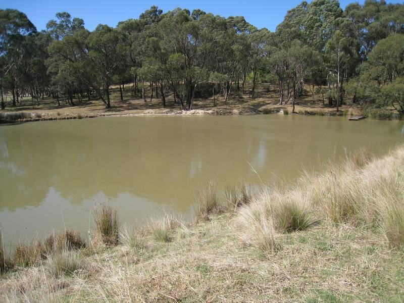 Rainbow Retreat Picture
