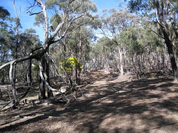 Mortgagee Auction Picture