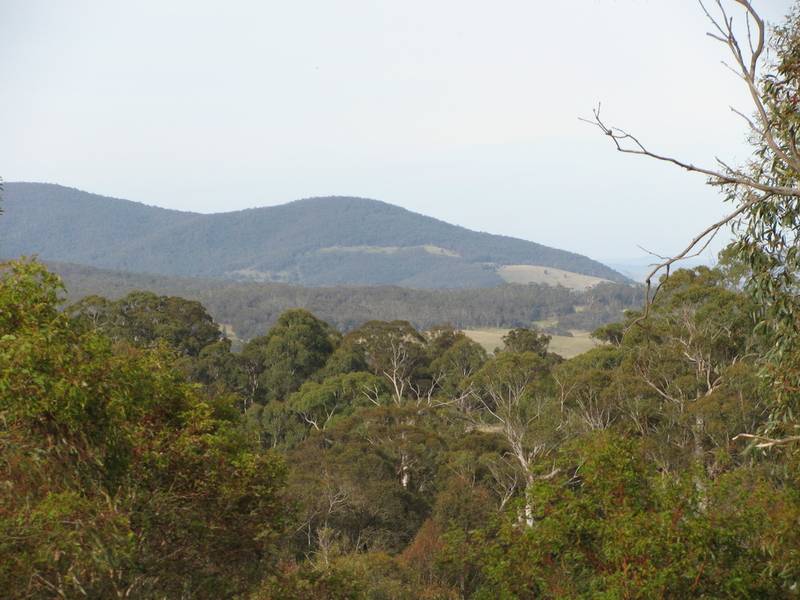 On Top of the World Picture 1