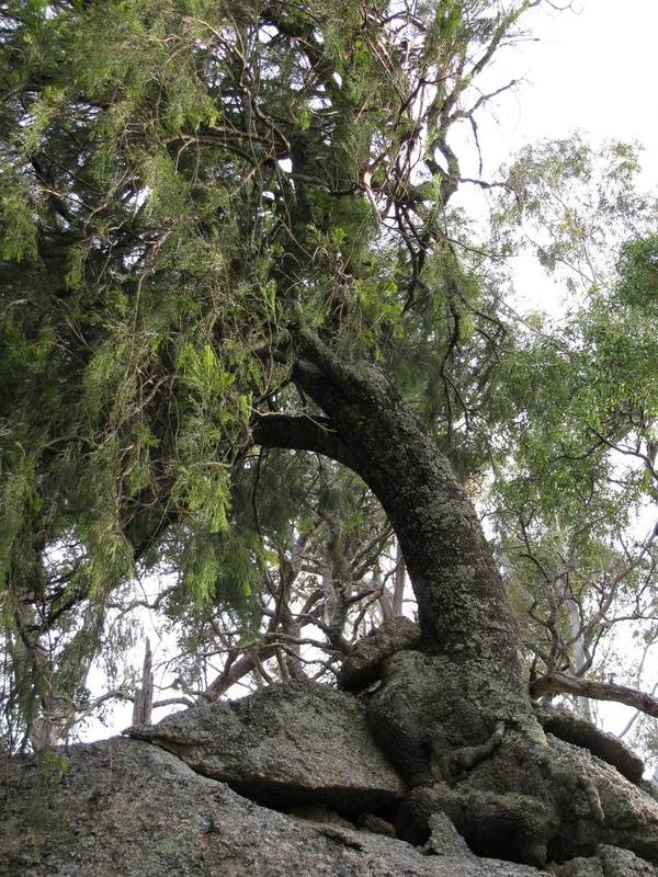 On Top of the World Picture 2