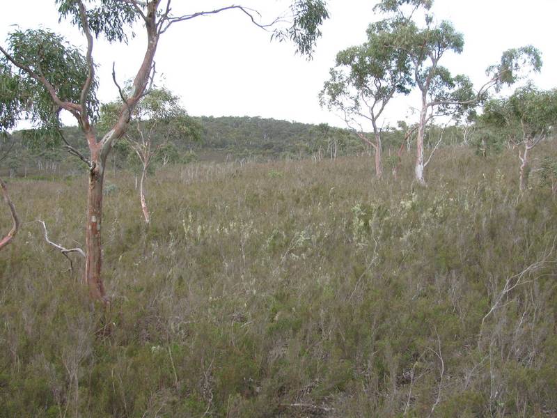 Smal Rural Block Picture 2