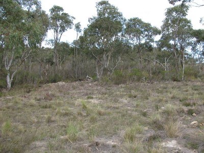 Small Rural Block Picture