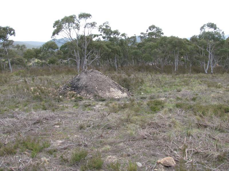 Small Rural Block Picture 2