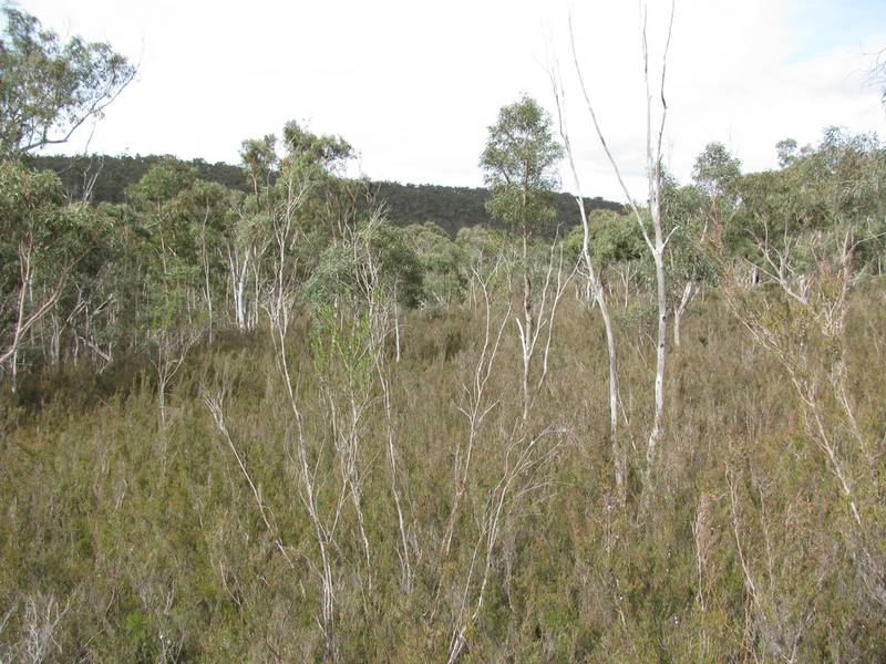 Small Rural block Picture 3