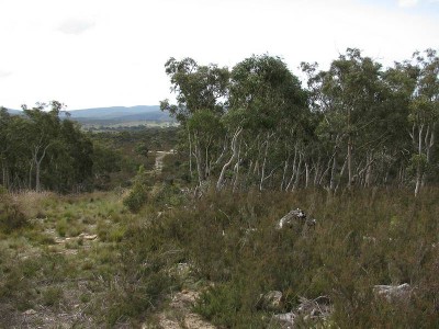 Small Rural block Picture