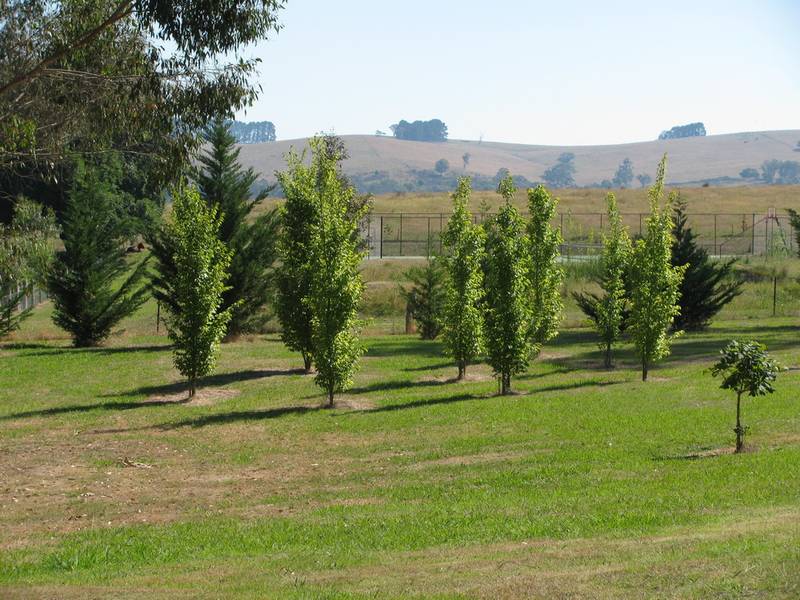 A Piece of Majors Creek History Picture 2