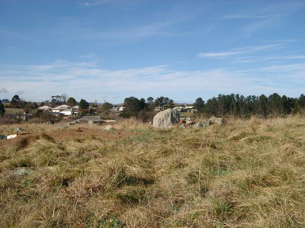 Outskirts of Braidwood - Horse Heaven Picture 2