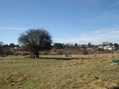 Outskirts of Braidwood - Horse Heaven Picture