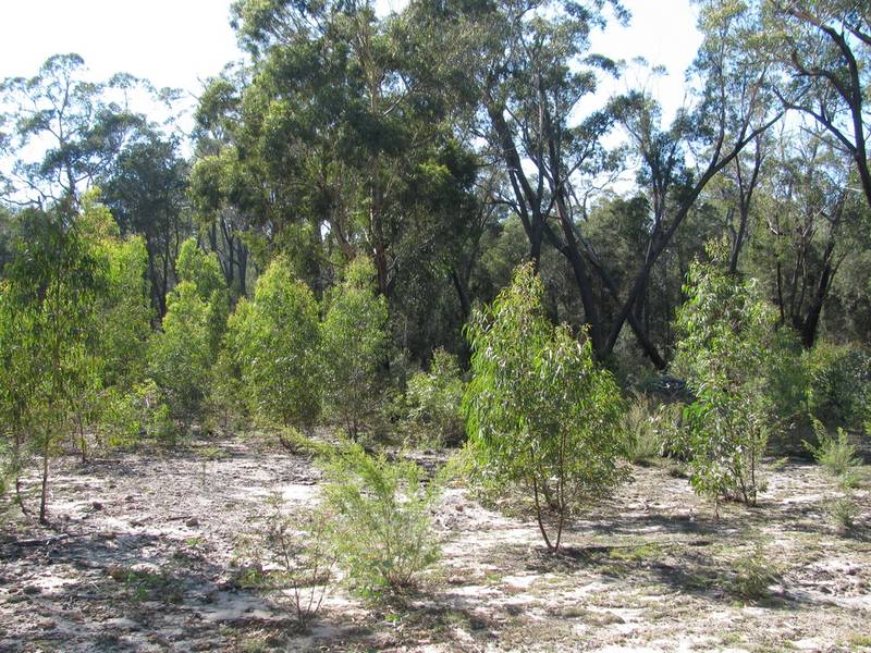 Ultimate Weekend Getaway Picture 3