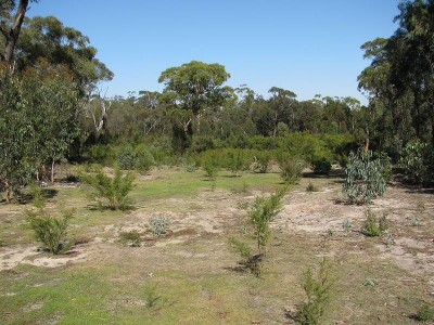 Ultimate Weekend Getaway Picture