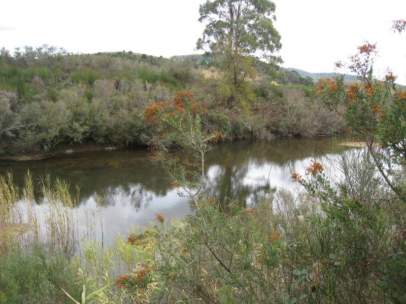 Large Recreational Acreage with Creek and River Frontage Picture 1