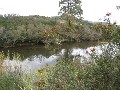 Large Recreational Acreage with Creek and River Frontage Picture