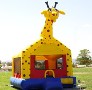 Jumping Castle Business Picture