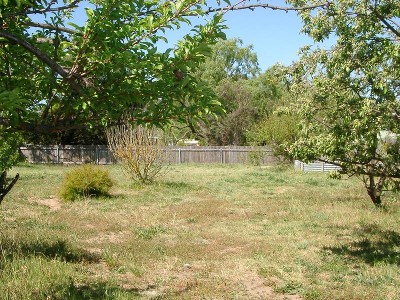 First Home Builders Alert Picture