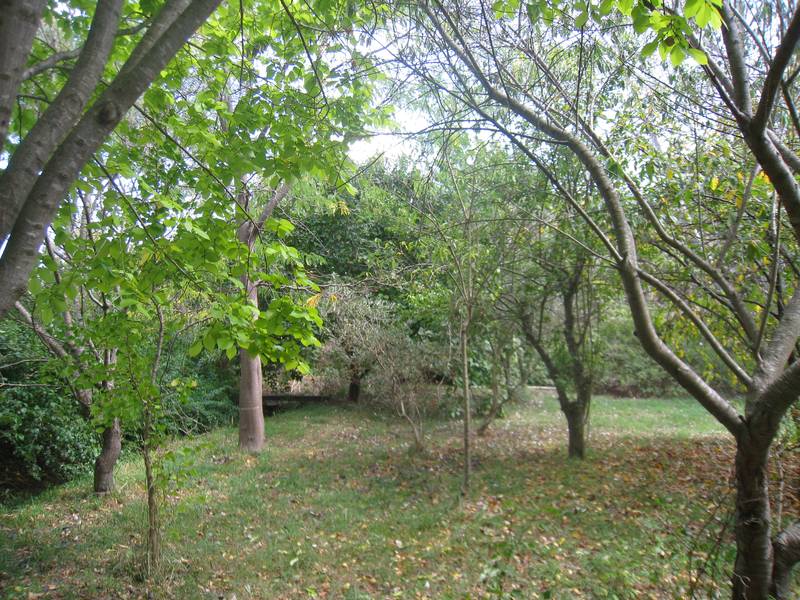 Once in a Lifetime Picture 2