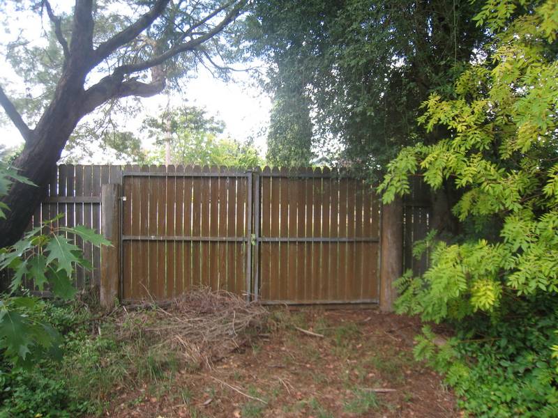 Once in a Lifetime Picture 3