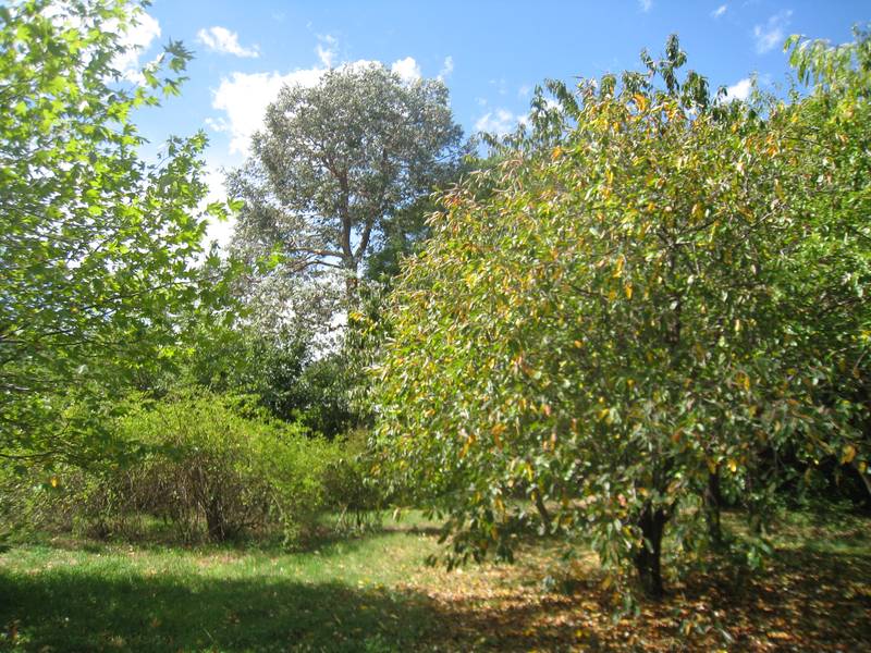 Once in a Lifetime Picture 1