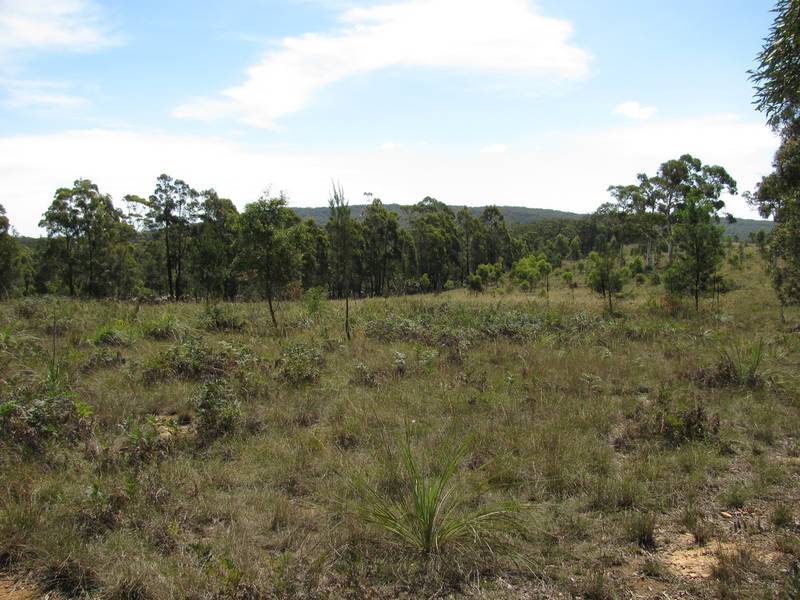 Back Creek Escape - Meroo Creek Picture 2