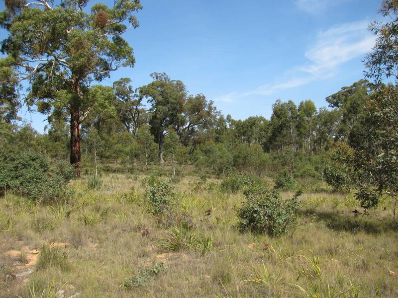 Back Creek Escape - Meroo Creek Picture 1