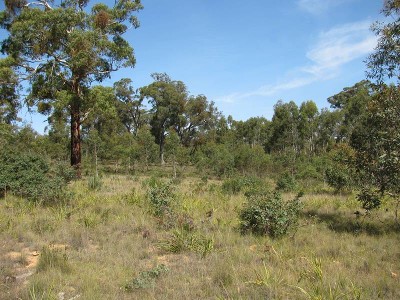 Back Creek Escape - Meroo Creek Picture