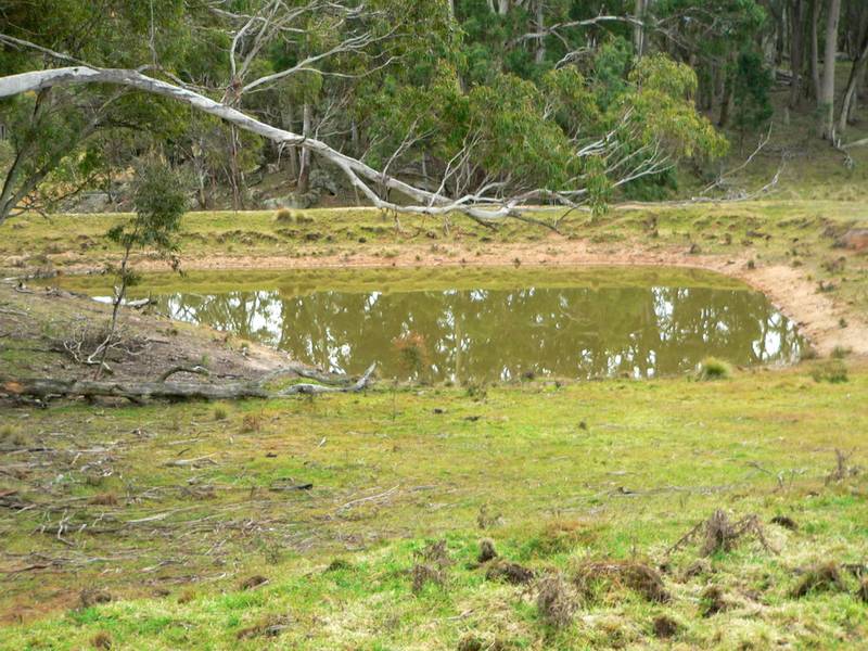 Lifestyle and Income - Harolds Cross Picture 3