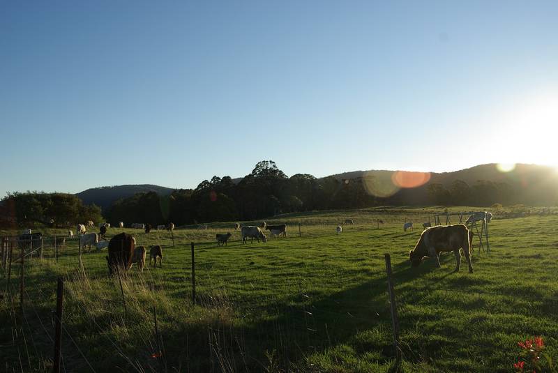 Lifestyle and Income - Harolds Cross Picture 2