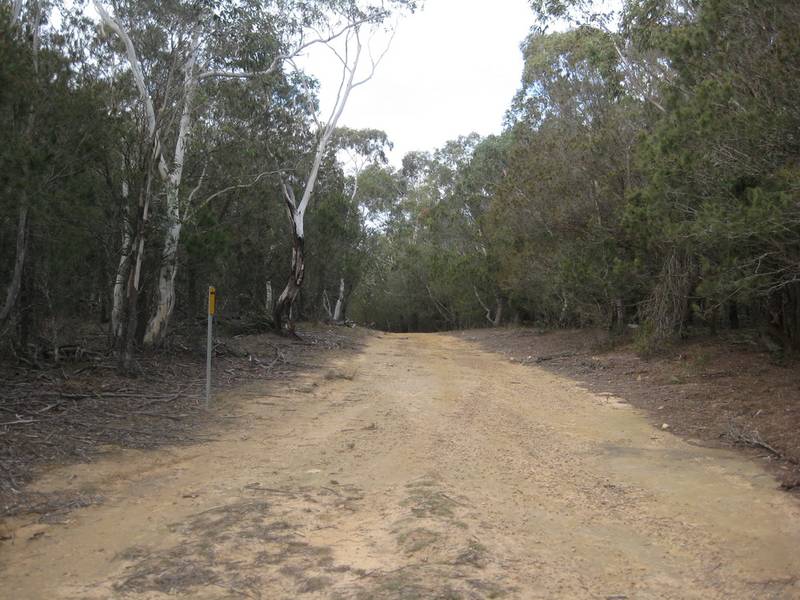 Bush Escape Picture 2