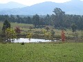 Country Living on 246 acre (99.6 ha) Farm Picture
