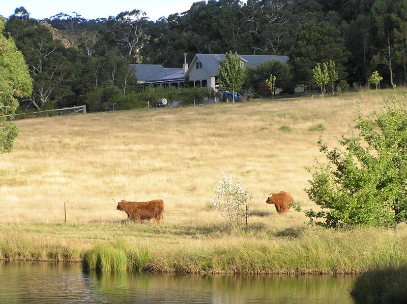 Country Living on 246 acre (99.6 ha) Farm Picture 1