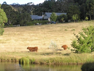 Country Living on 246 acre (99.6 ha) Farm Picture Country Living on 246 acre (99.6 ha) Farm Picture