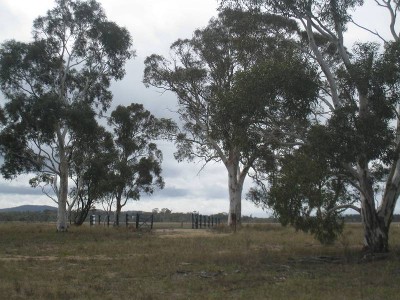 Commuter Paradise Picture