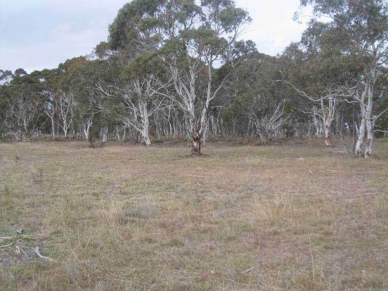 Commuter Paradise Picture 3