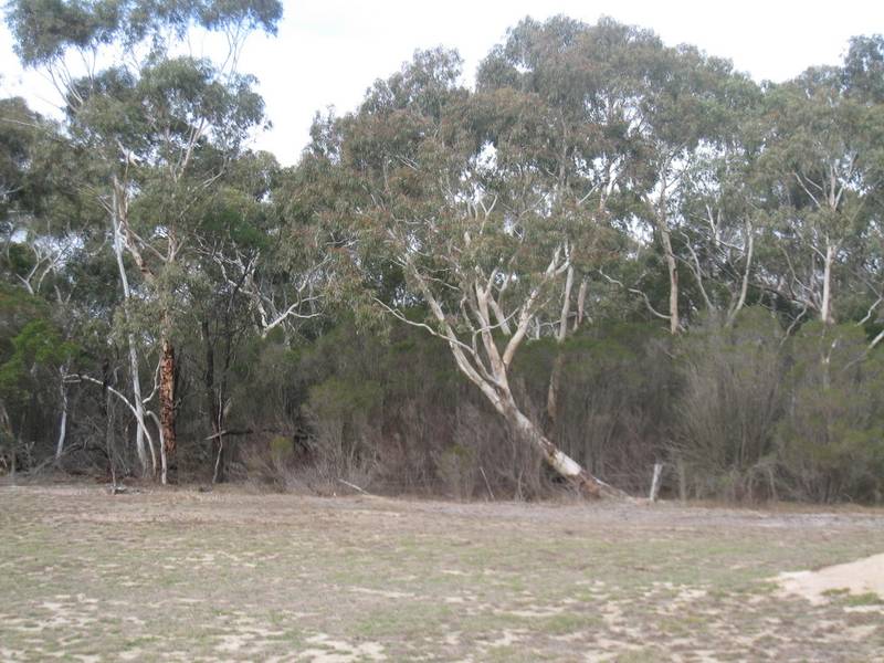 Commuter Paradise Picture 2