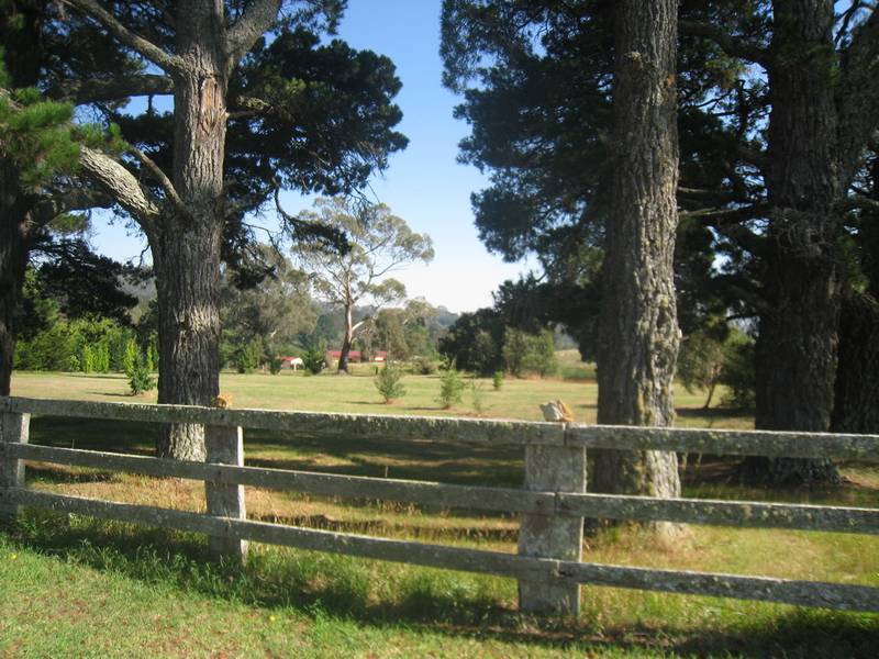 The Old School Paddock Picture 1