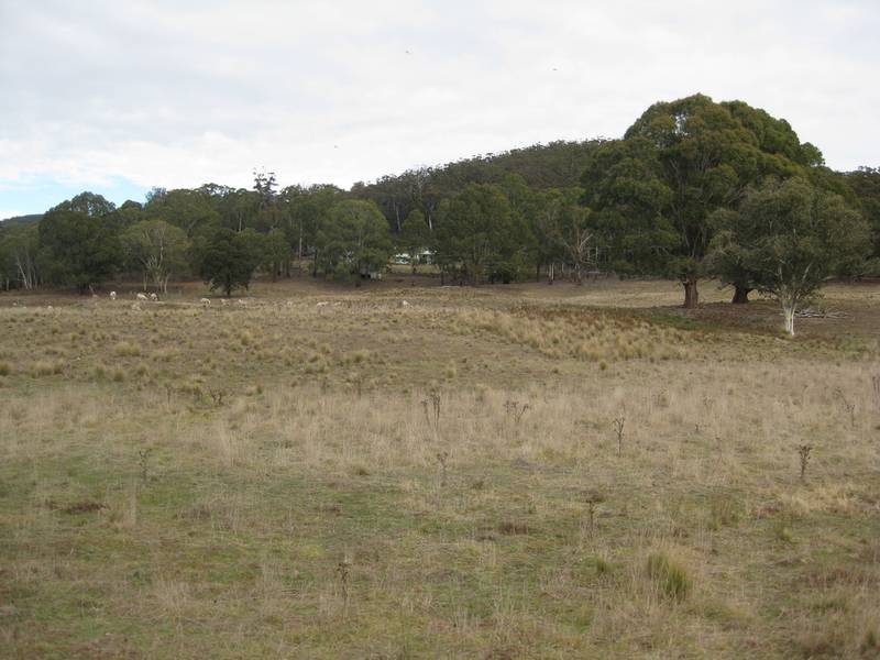 "Bethany"...in the Foothills of the Tallaganda State Forest Picture 1