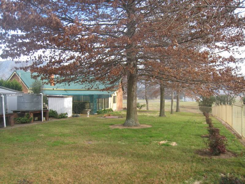 ARALUEN GOLD Picture 2