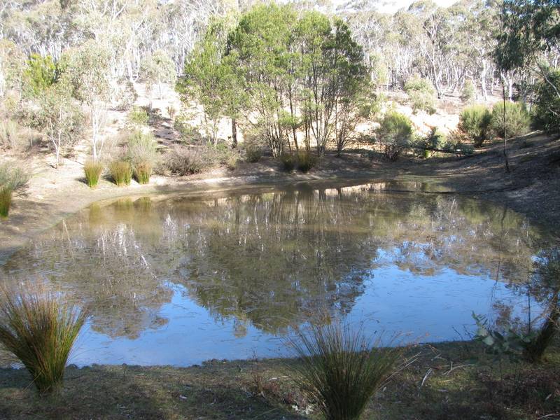 Natural Bush Block Picture 2