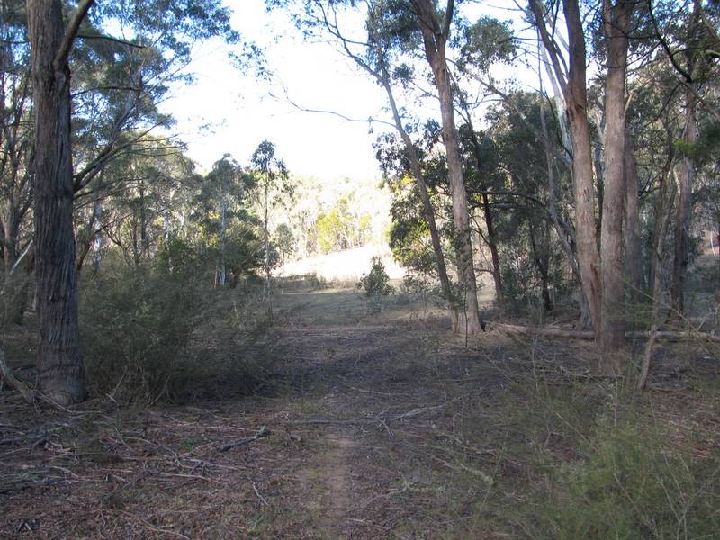 Natural Bush Block Picture 3