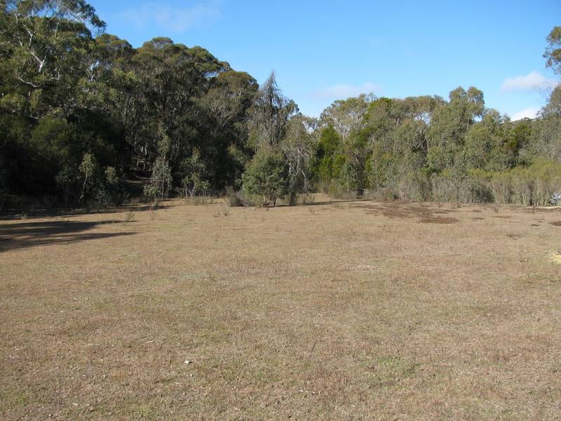 Natural Bush Block Picture 1